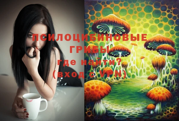 не бодяженный Кукмор