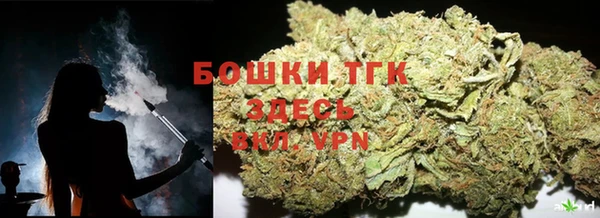 индика Кодинск