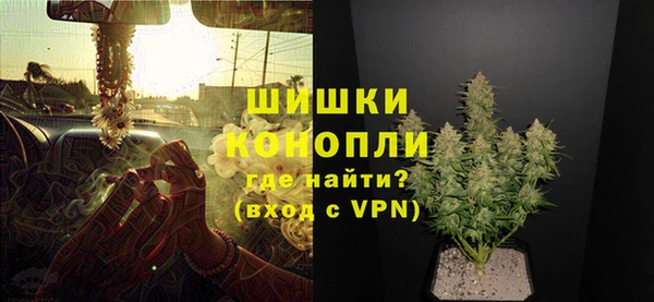 индика Кодинск