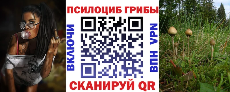 Псилоцибиновые грибы мухоморы Красный Холм